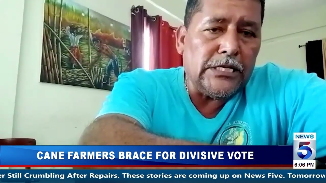 Фермеры, выращивающие сахарный тростник, рассматривают дорогостоящий компромисс с компанией T&L.