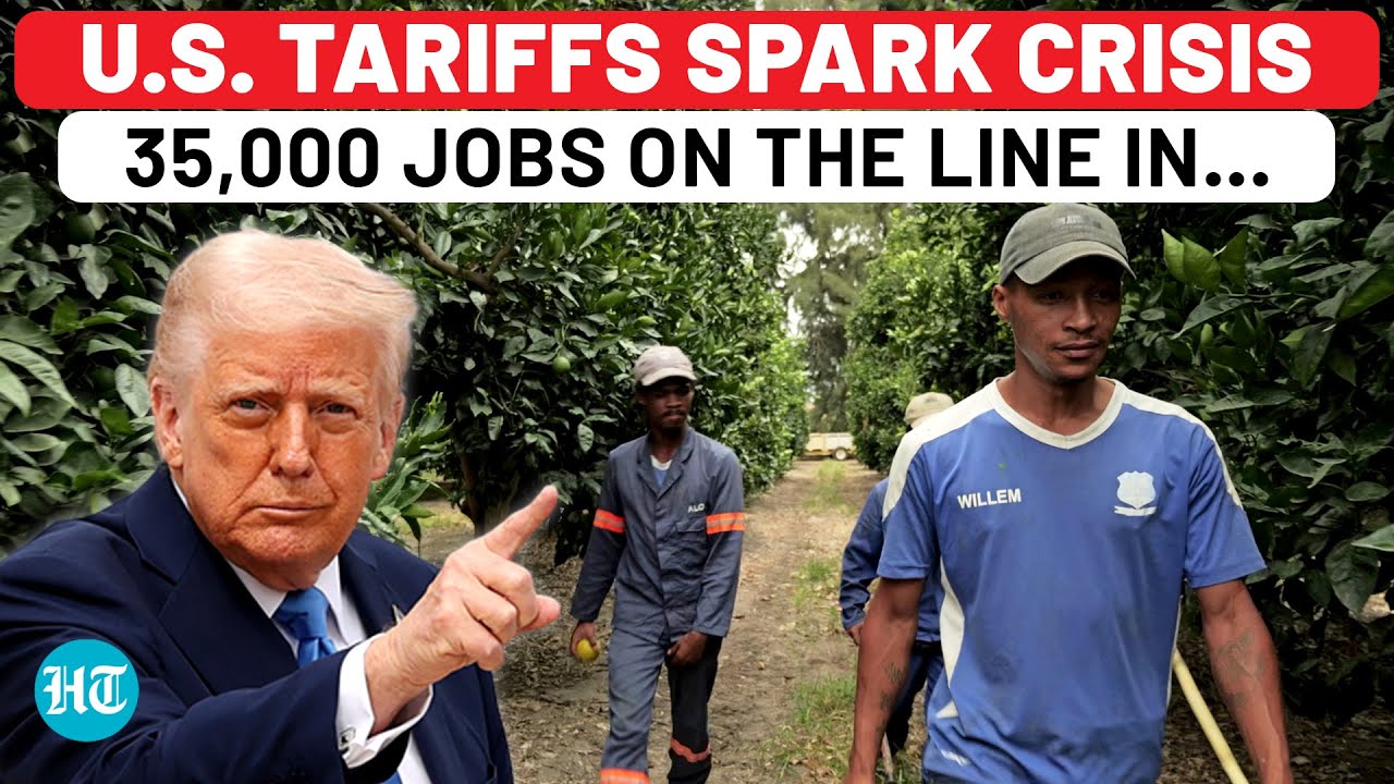 Trump’s Tariff Shock Leaves South African Farmers on Edge, 35,000 Jobs On The Line  | US Tariffs