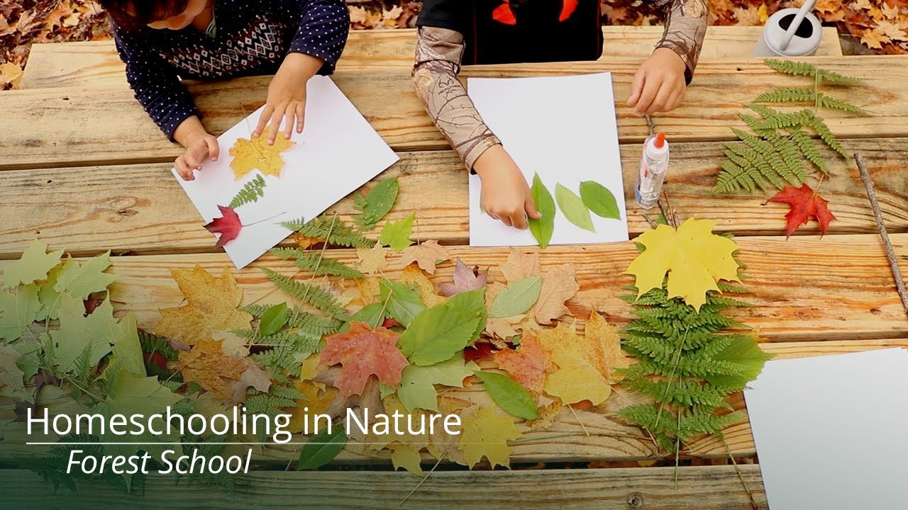 Forest Homeschool Day  |  What forest school looks like for our family