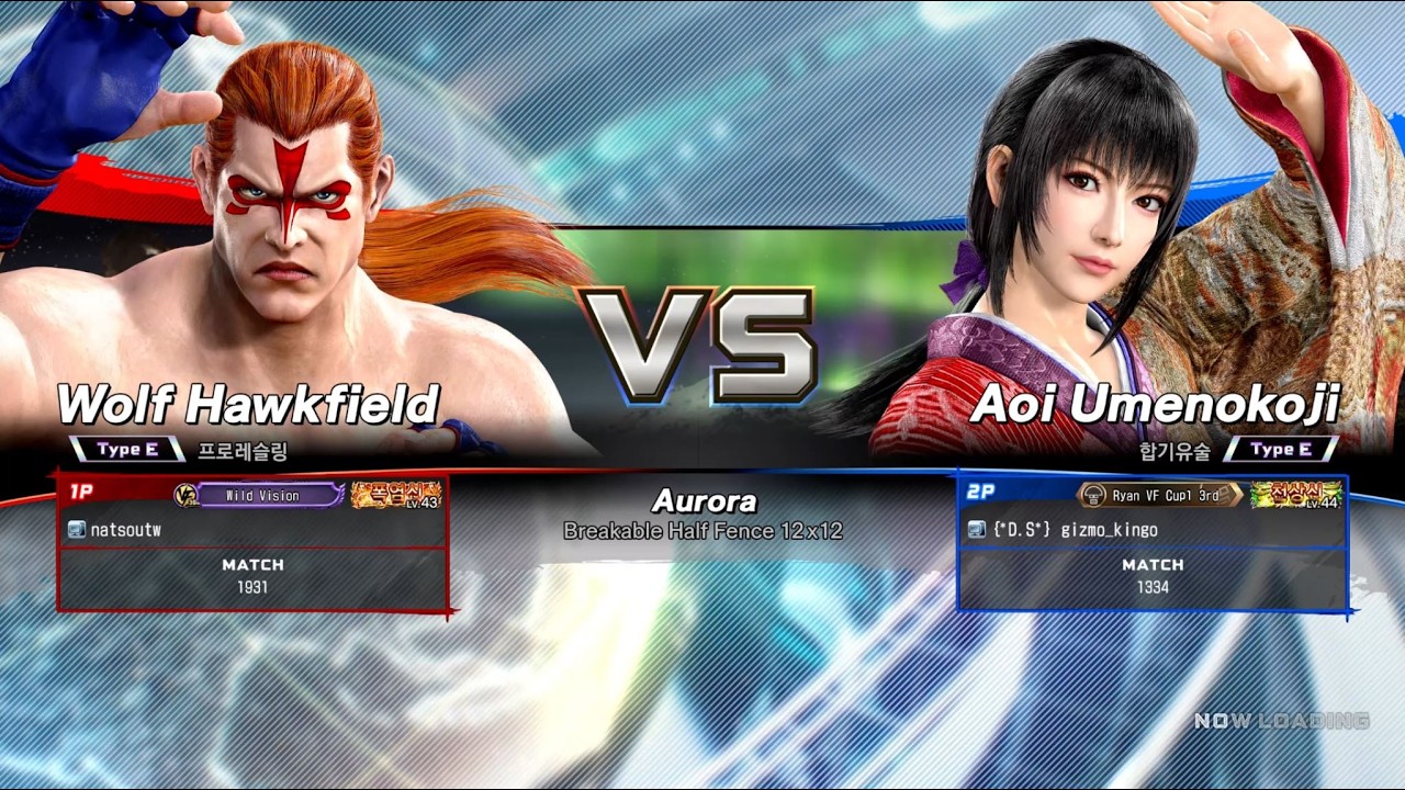 Virtua Fighter 5 R.E.V.O_natsoutw(WO)_vs_gizmo_kingo(AO)