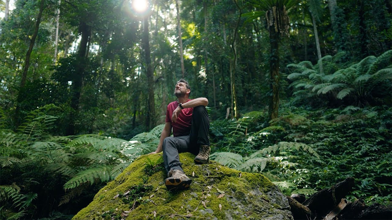 Scenic Rim Trail, Queensland - Great Walks Of Australia