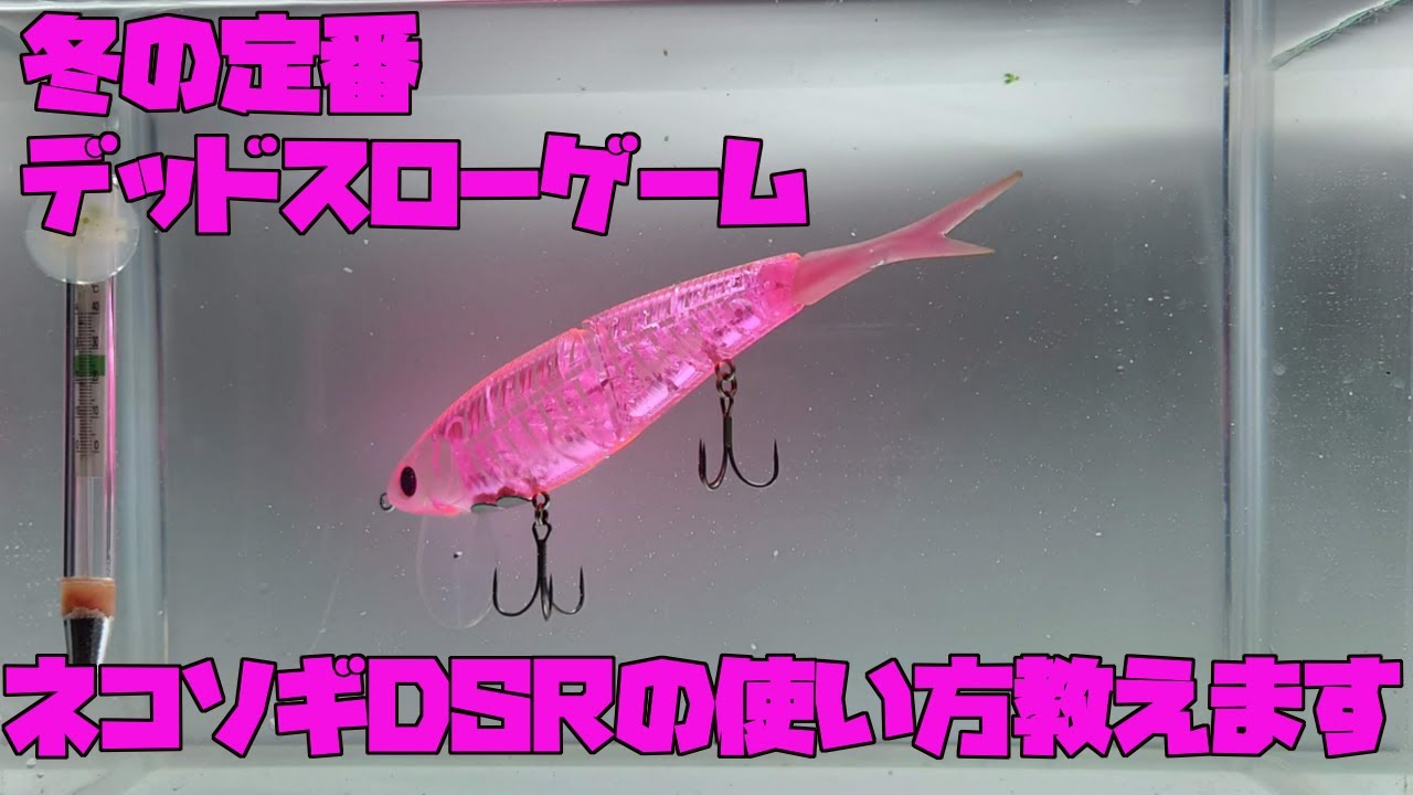 【バス釣り】冬の定番！ネコソギDSRの使い方を教えます。nekosogiプレイを楽しんで冬のデカバスを狙おう！！琵琶湖/瀬田川　nekosogidsr phatlab