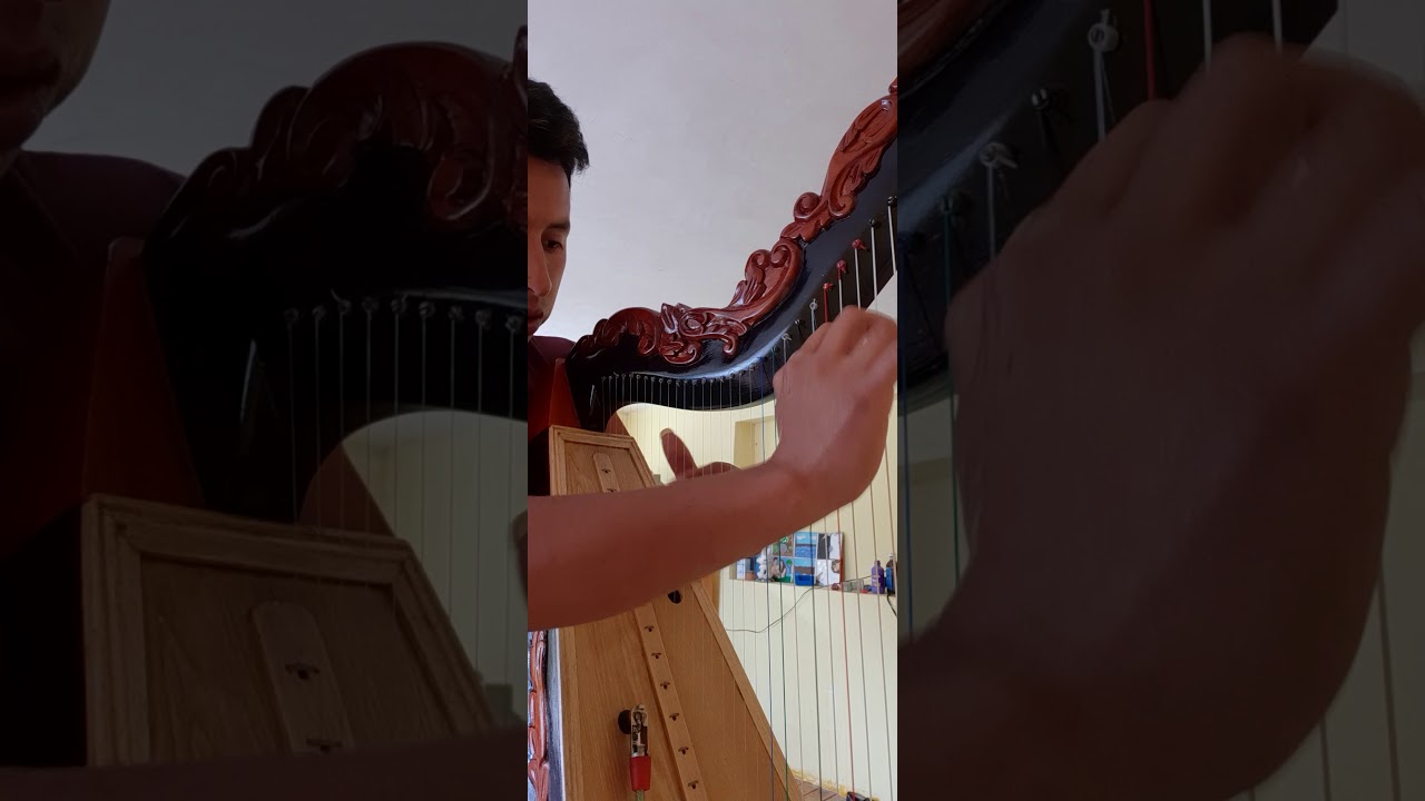 Cover.Alicia Delgado (Otro Fracaso En La Vida)