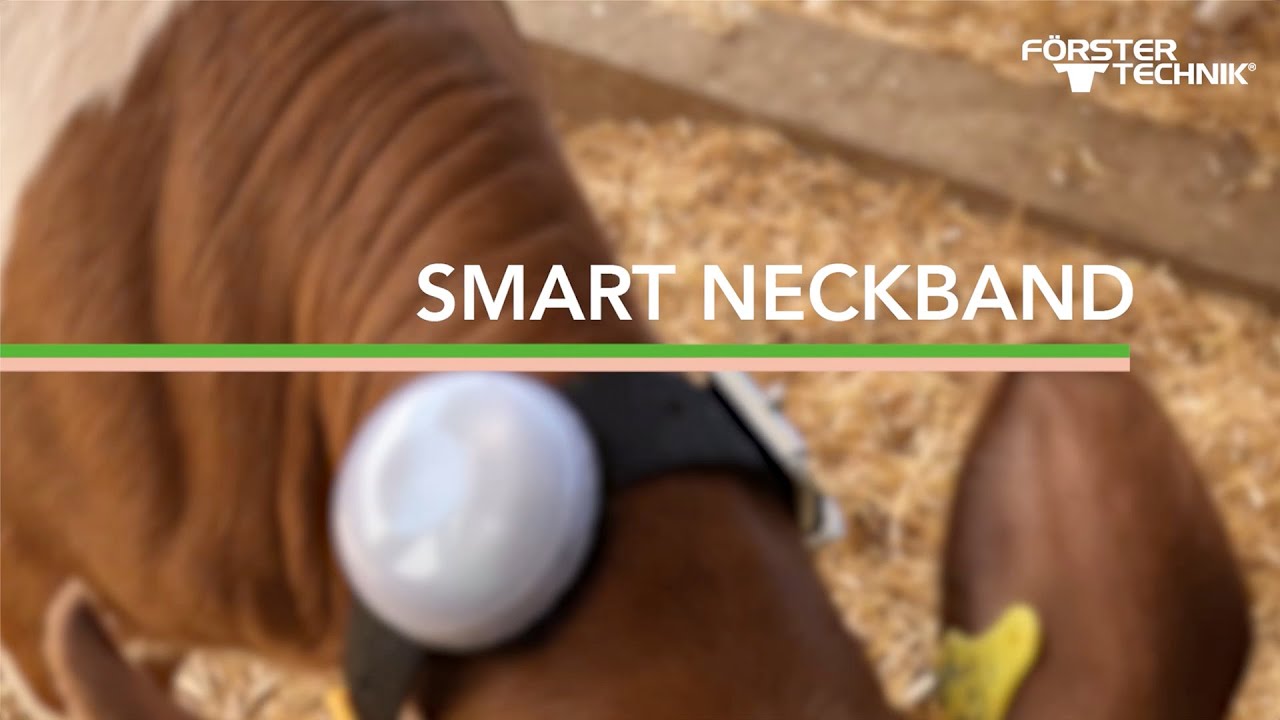F&ouml;rster-Technik Smart Neckband