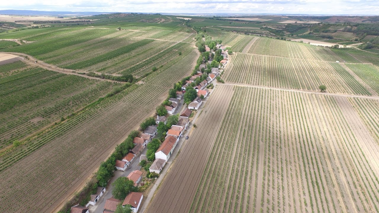Kellergasse Hadres
