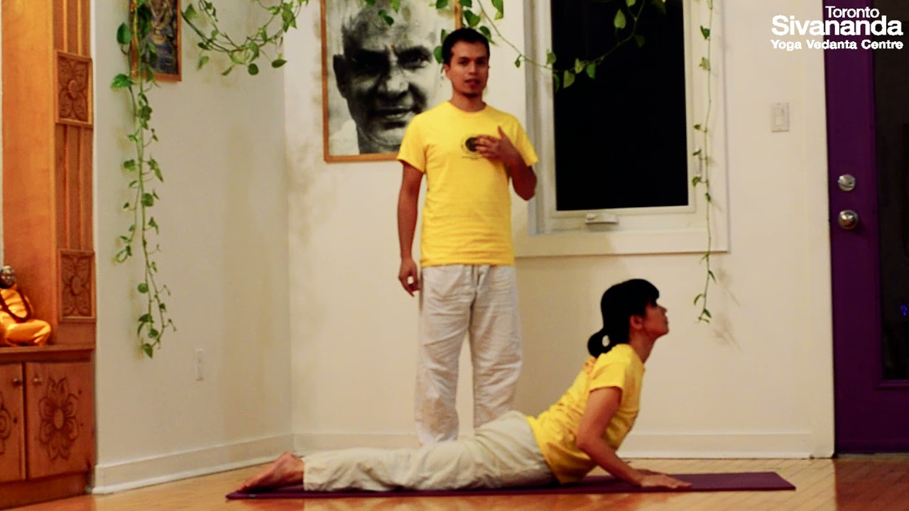 The Cobra ( Bhujangasana )