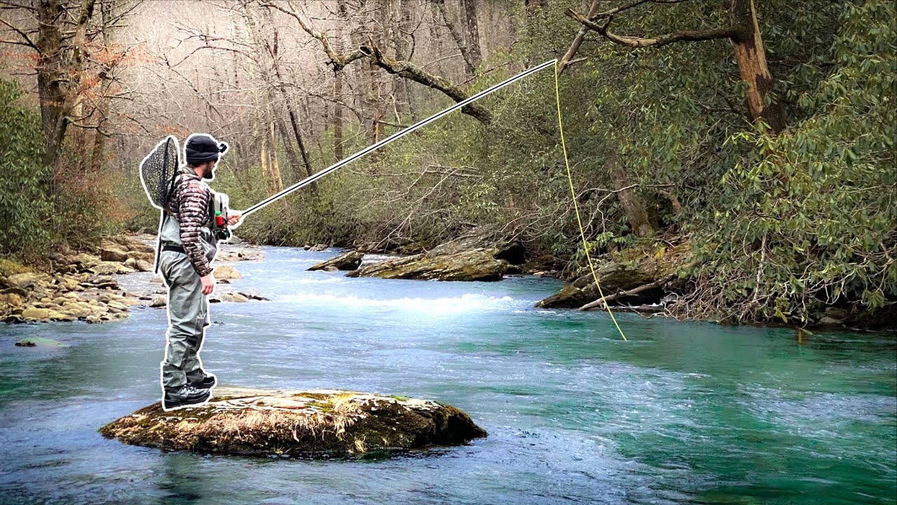Fly Fishing South Carolina’s BEST Trout Stream