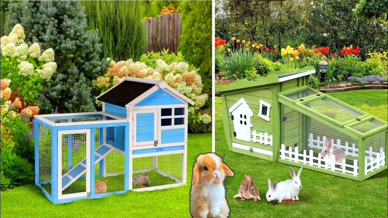 Creating a Luxurious Space: Dog Kennel Design Ideas 💫 || dog kennel ideas