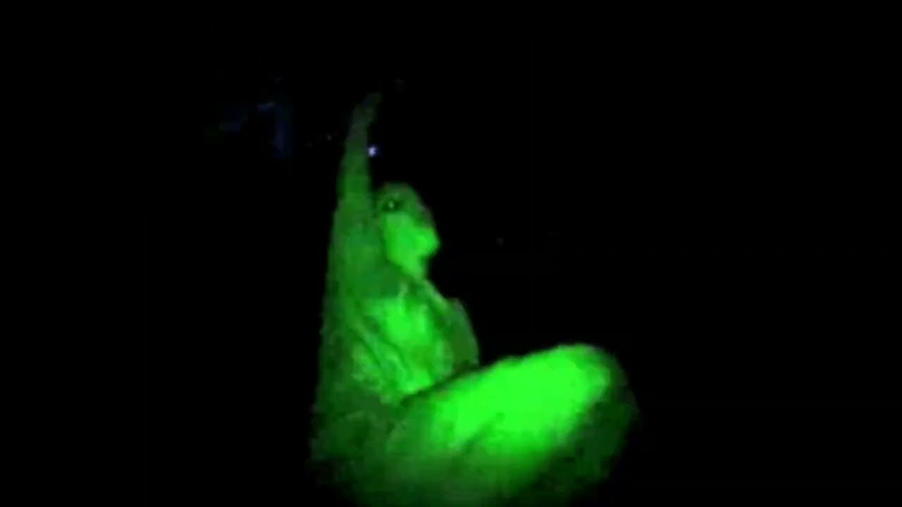 osamason gyro type beat