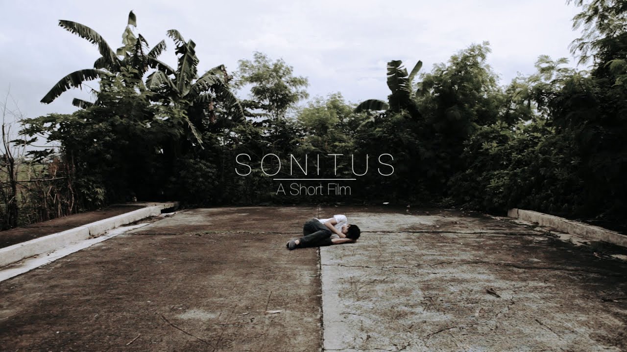 Sonitus - A Short  Film