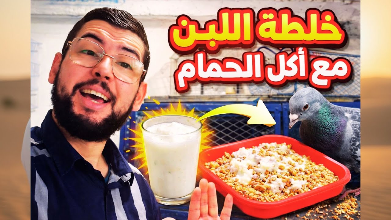 سرّ صحة الحمام: أفضل مصدر للبكتيريا النافعة ! ❤🚨
