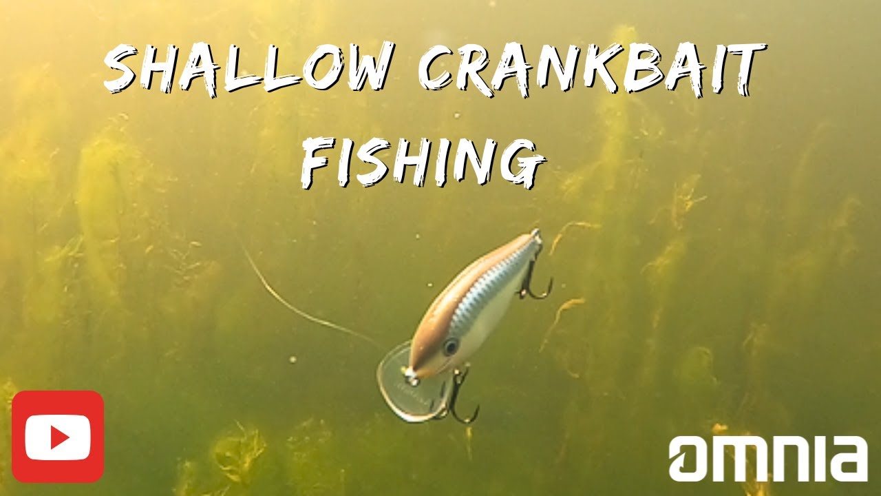 Post Spawn Crankbait Fishing Tricks - Speed Cranking For Aggressive Bass!