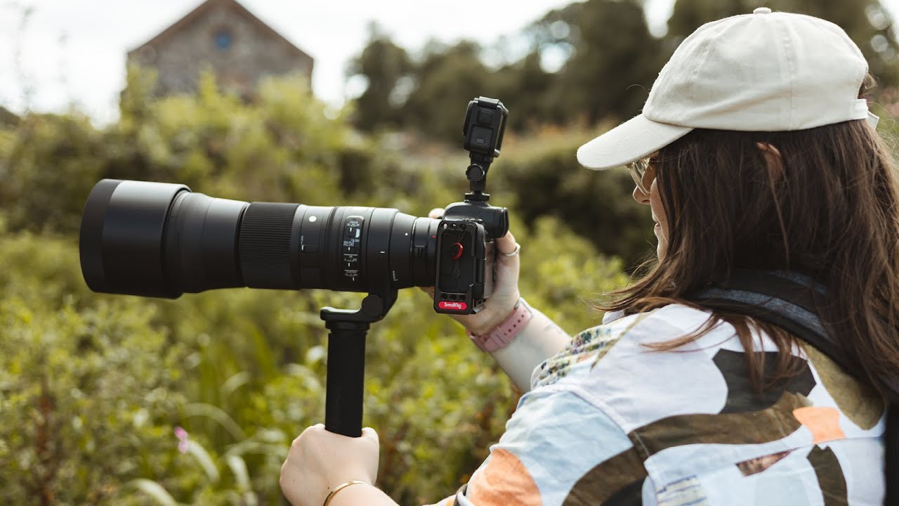 Why did I buy this lens? Trying Wildlife Photography with the Sigma 150-600mm and Canon R6