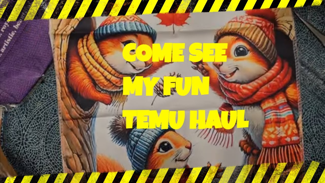 Is This My  Final Temu Haul?  3 orders worth of goodies plus links