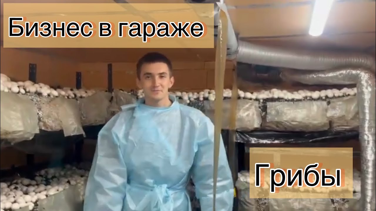 БИЗНЕС В ГАРАЖЕ. ГРИБЫ 