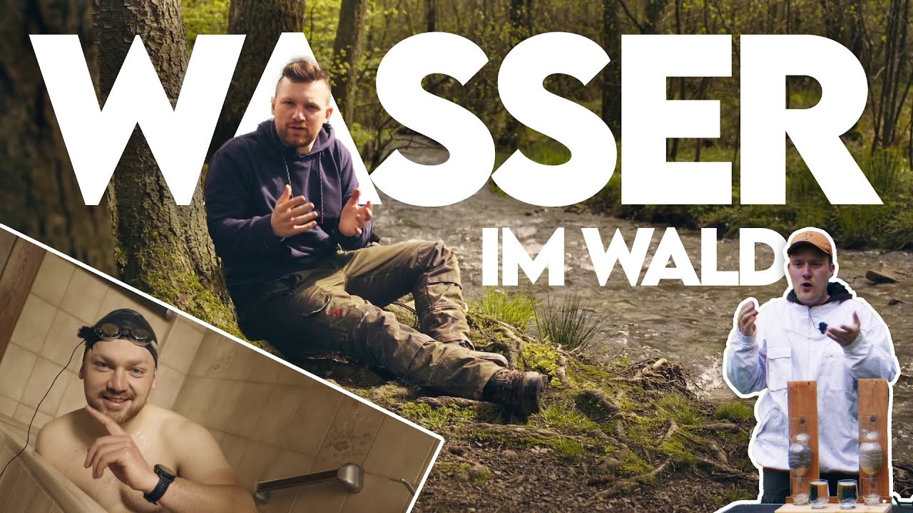 Trinkwasser aus dem Wald! So speichern Wälder Wasser - Forst erklärt