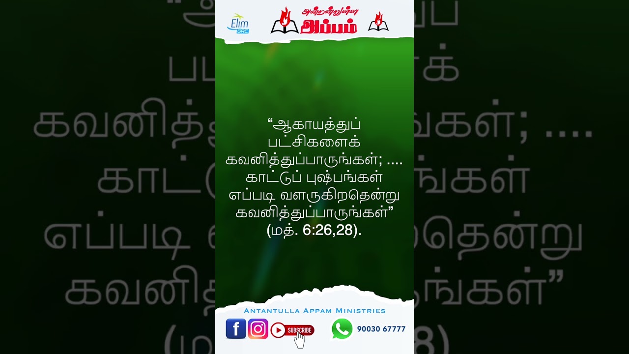 அன்றன்றுள்ள அப்பம் ||கவனித்துப்பாருங்கள்!*செப்டம்பர் 30 2025 || Pr. Osborne #shorts #shortvideo