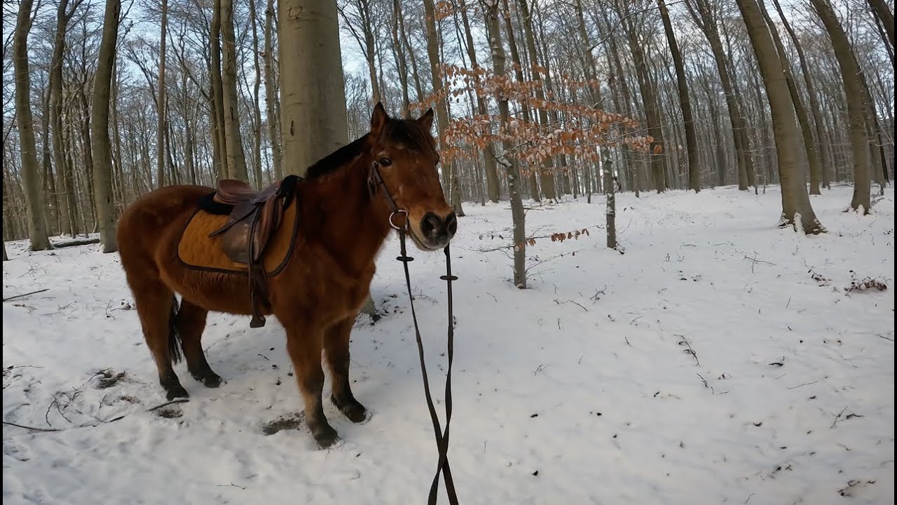 САМЫЙ ЗАХВАТЫВАЮЩИЙ СНЕЖНЫЙ МАРШРУТ🥳🤪 | видео с камеры на шлеме