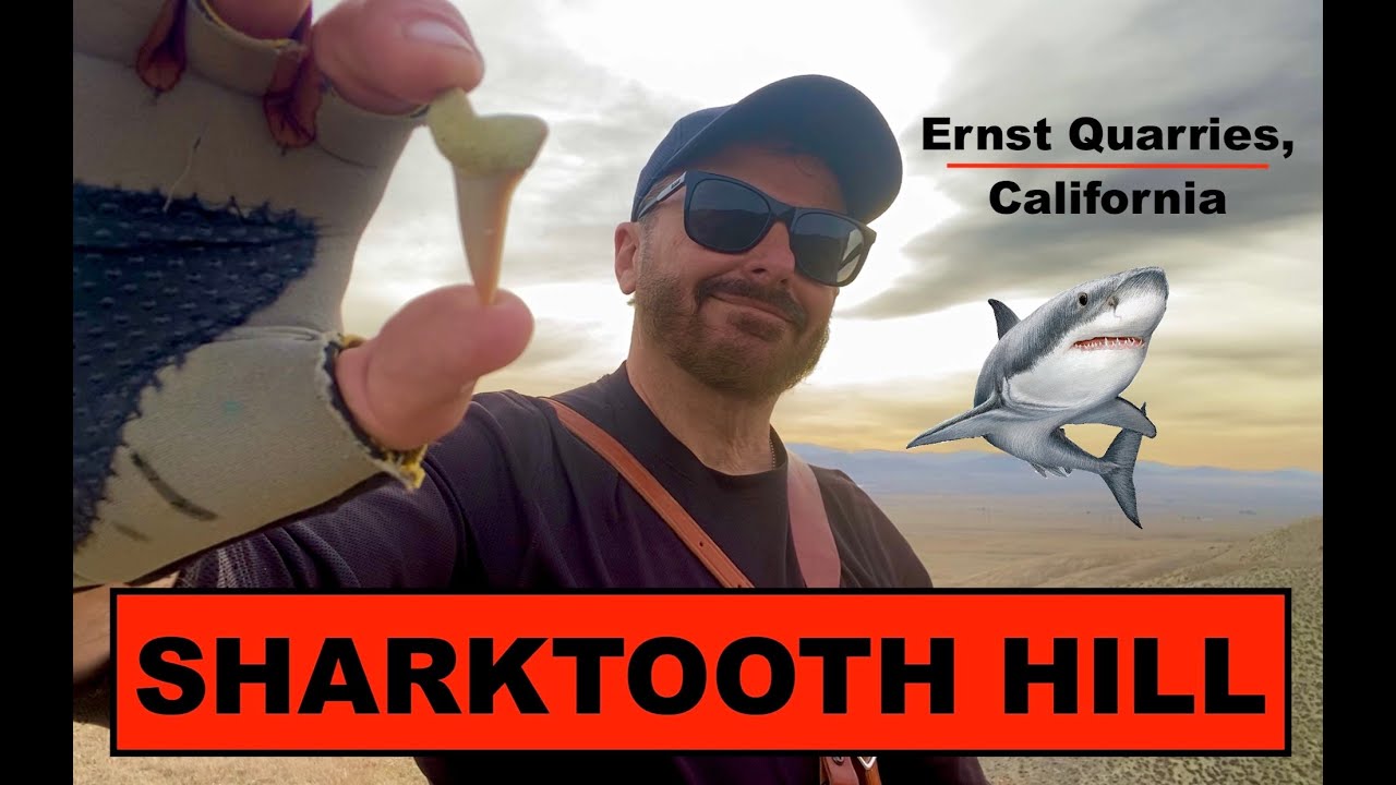 Sharktooth Hill/Ernst Quarries Fossil Hunting