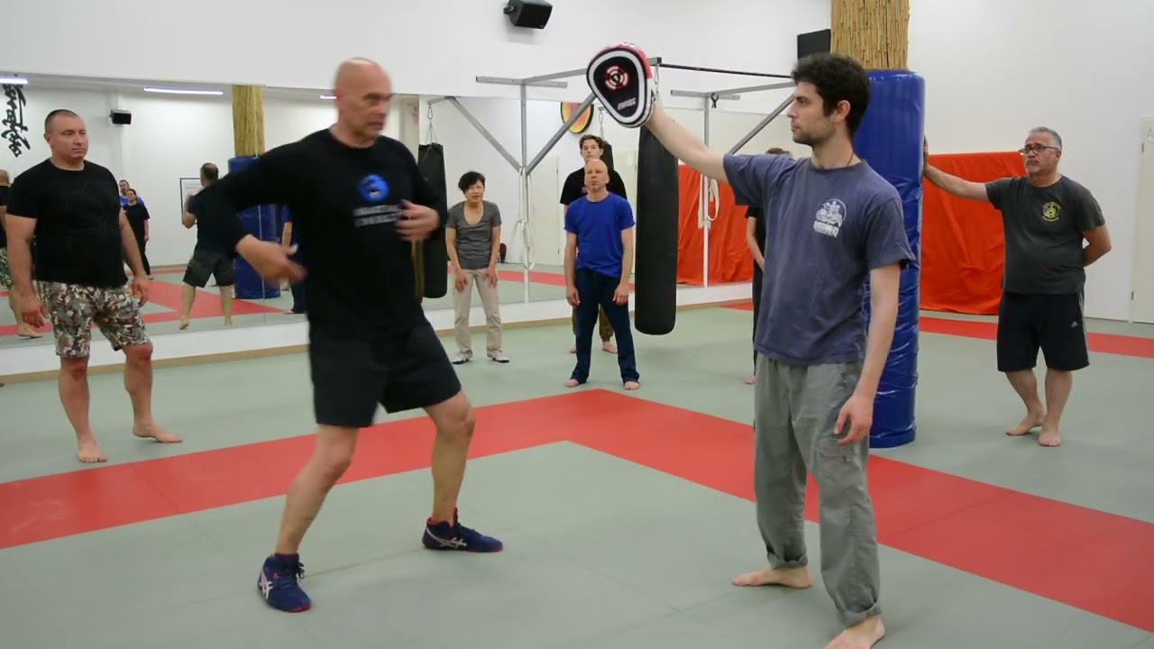 Alex Kostic stage Systema Lausanne, Basic mouvements, part 1/3