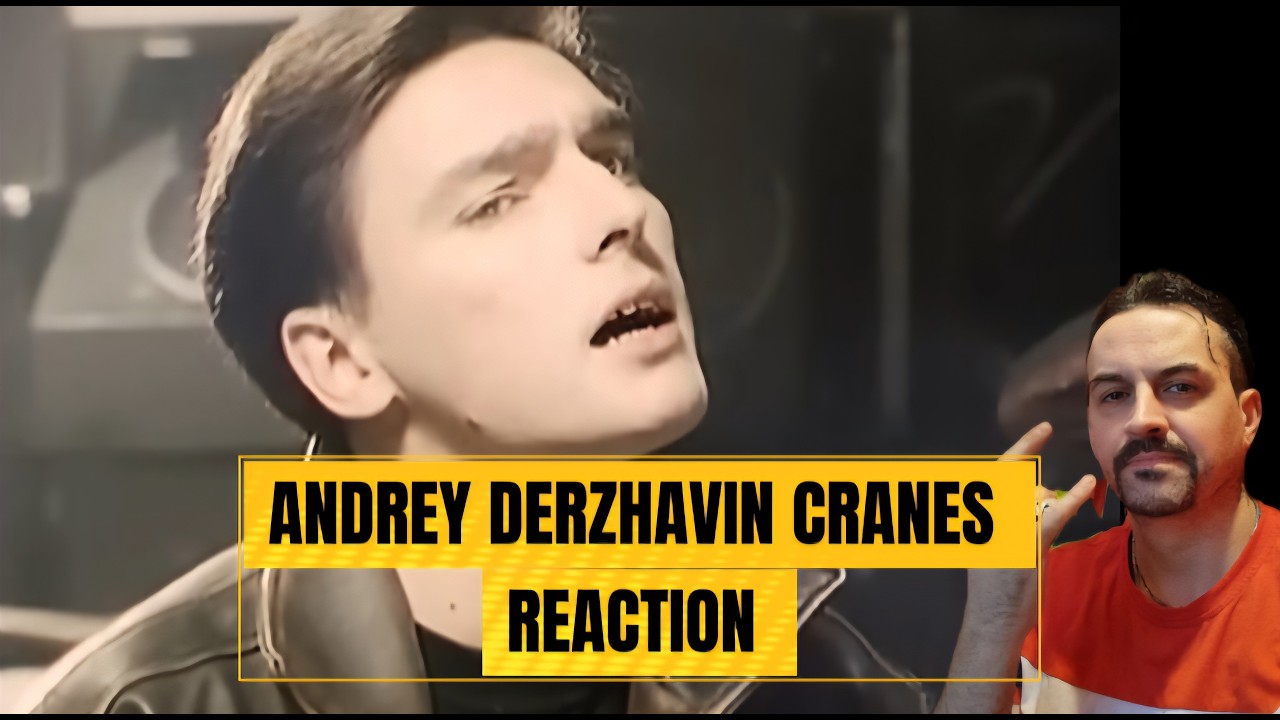Андрей Державин - Журавли REACTION