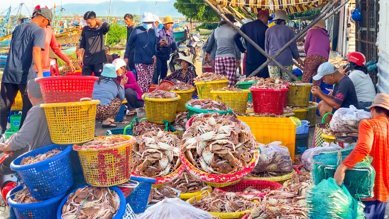 Hàng Tấn Ghẹ Dĩa Nghề Rập Phan Rí Cửa | Chả Mực Nang Dai Ngon Ăn Là Ghiền
