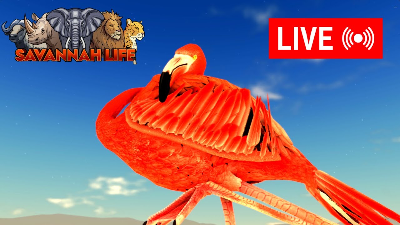Playing with Flamingo Live | Savannah Life | Roblox