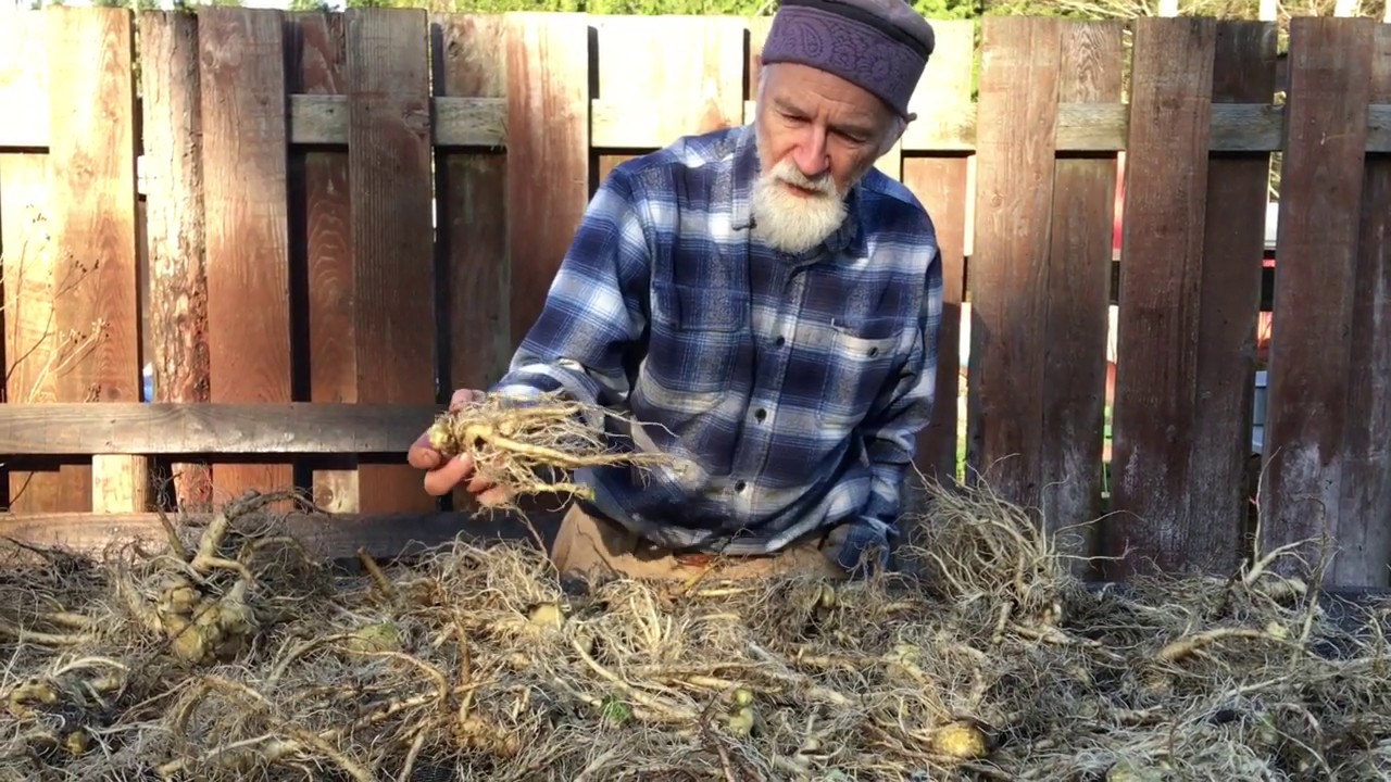 Teasel Root with Michael Pilarski 