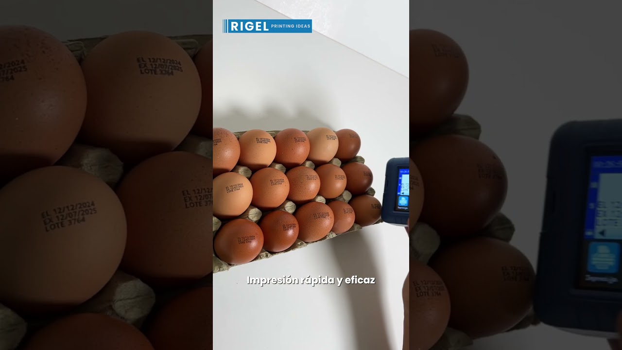 MINI CODIFICADORA- CODIFICACI&Oacute;N EN HUEVOS