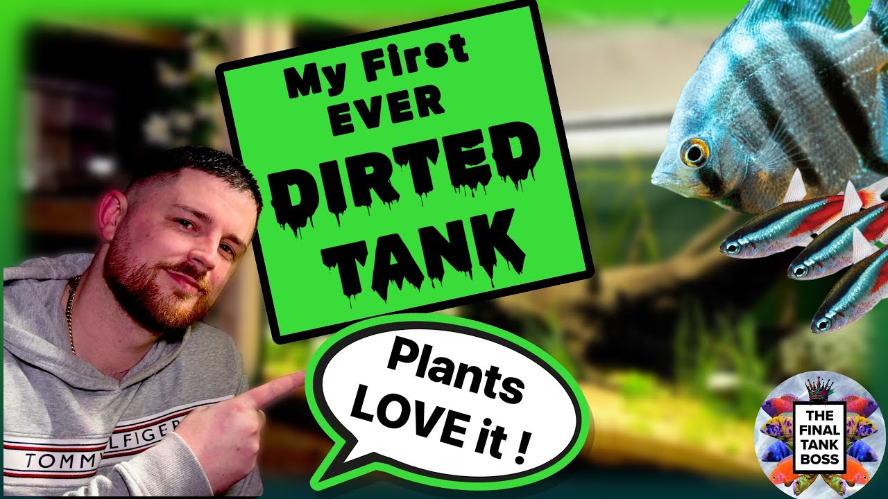 Starting a Dirted Tank for the First Time! (My Plants can&rsquo;t get enough)
