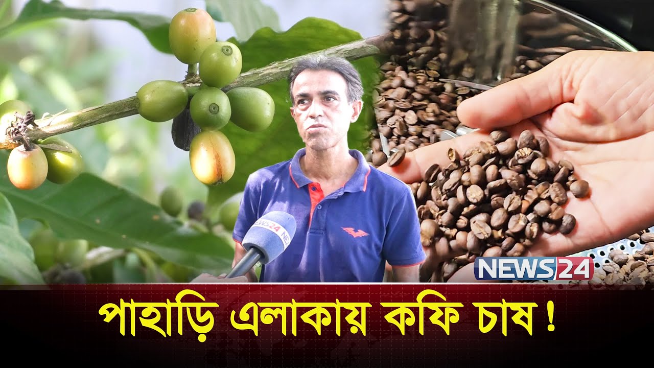 চাকরি ছেড়ে কফি চাষ | Coffee | Farming | News24 Special