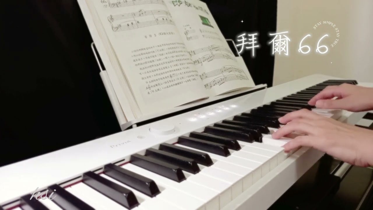 拜爾66
