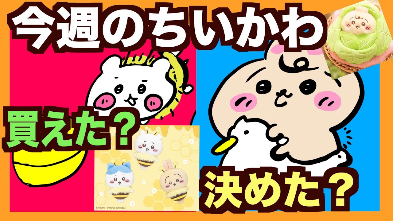 【ちいかわ】今週はいよいよ〜！お迎え決めましょう！入手困難ハチちゃん買えた？