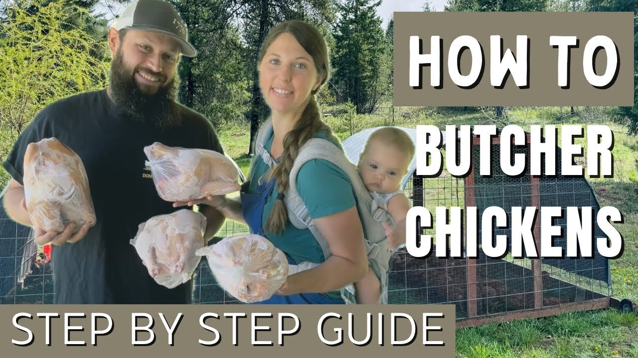 WE BUTCHERED 100+ MEAT BIRDS | HOW TO PROCESS A CHICKEN START to FINISH (the right way!)