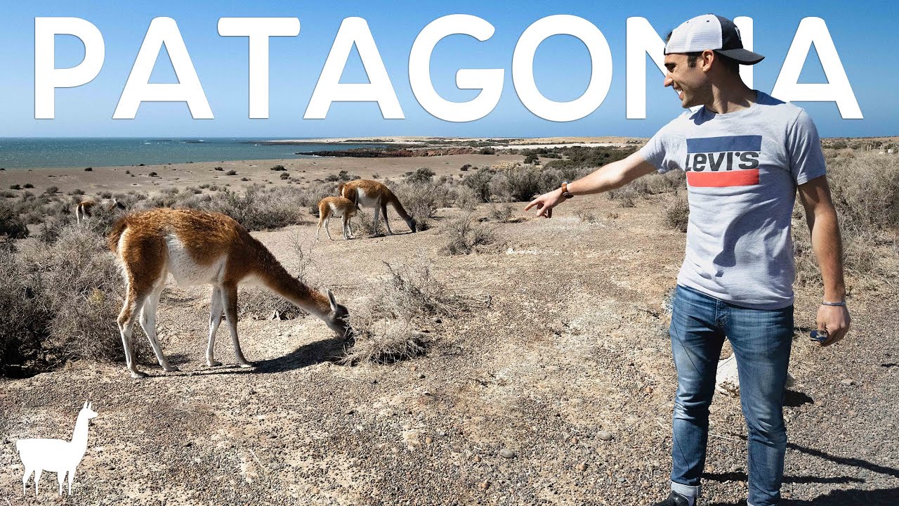 QU'EST CE QUE LA PATAGONIE ? - Découverte De La Péninsule De Valdes, Argentine