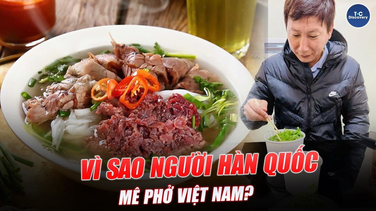 VÌ SAO NGƯỜI HÀN QUỐC MÊ PHỞ VIỆT NAM?
