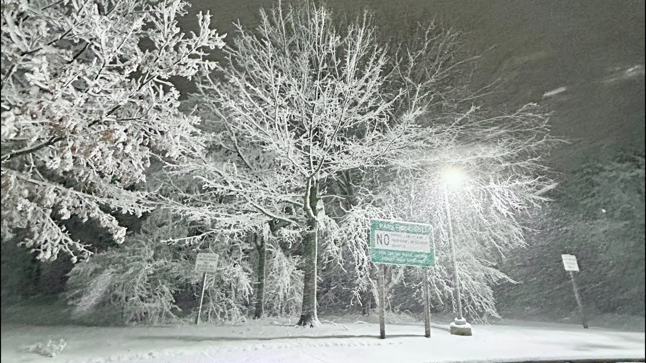 Blizzard in New Jersey – Real Time Conditions & Emergency Response