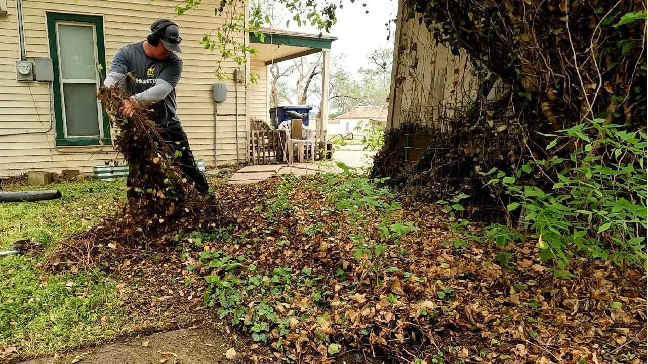 Found HIDDEN Sidewalk and DEAD Animal While Helping ELDERLY Lady With LAWN CLEANUP