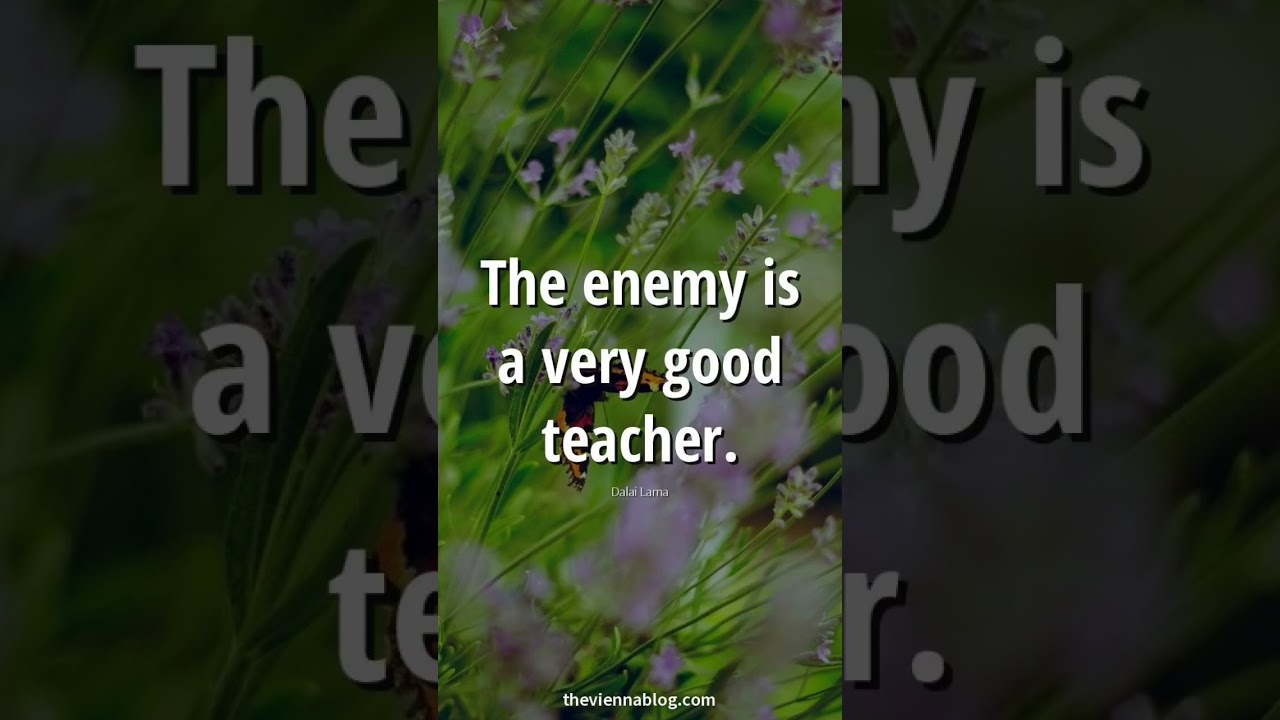 a very good teacher #promotivation #new #viral #motivation #refreshingquotes #goodteacher