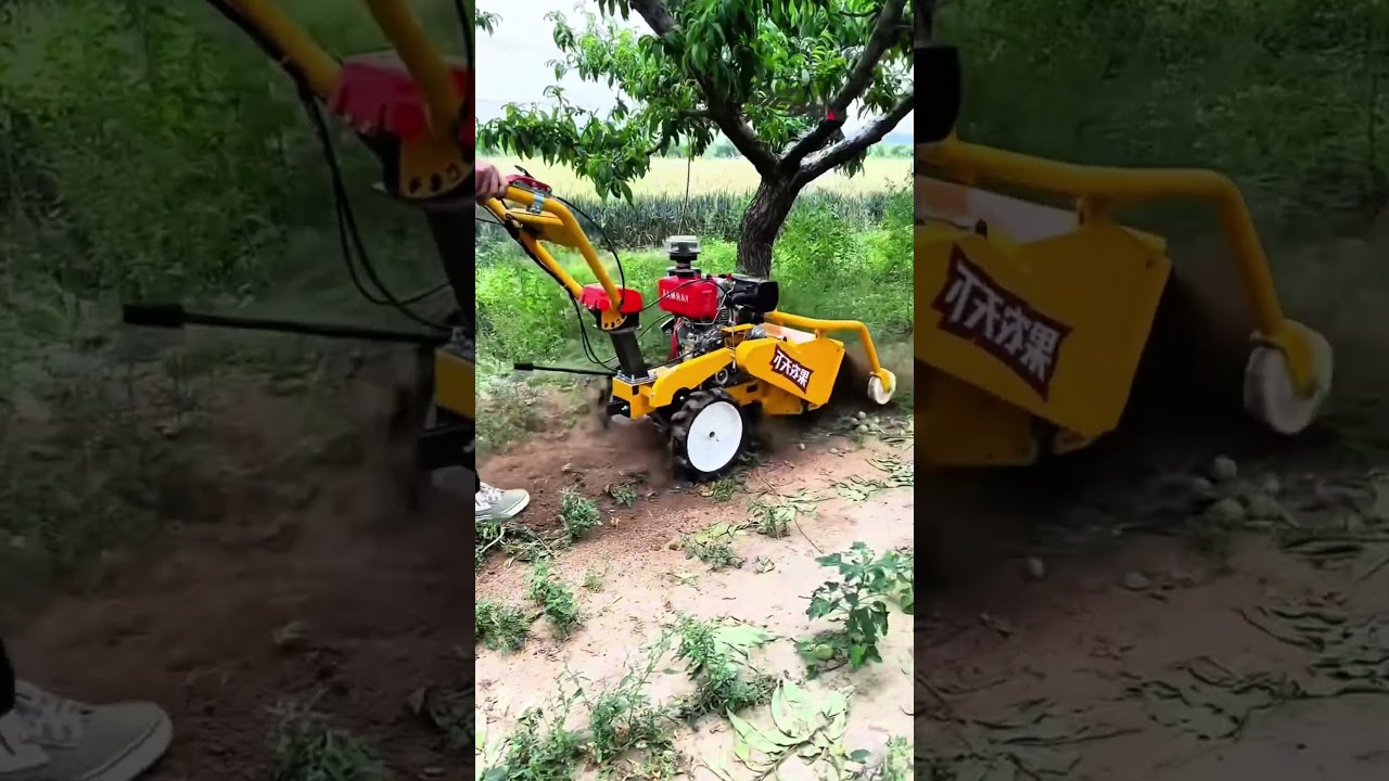 From wasteland to farmland! Watch this machine revive barren soil🔥#machine #agriculture #farms