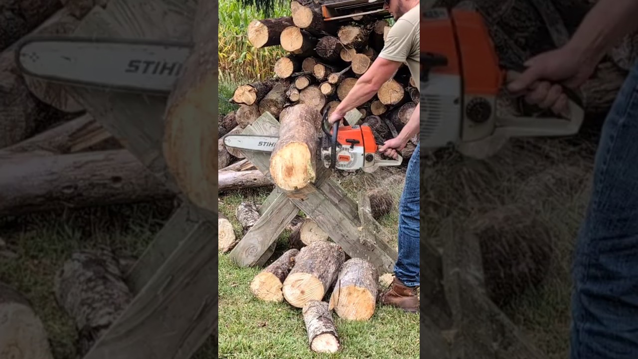 Stihl chainsaws | Full video linked! | Real and toys #stihl  #shorts #waylonsworld #fatherson