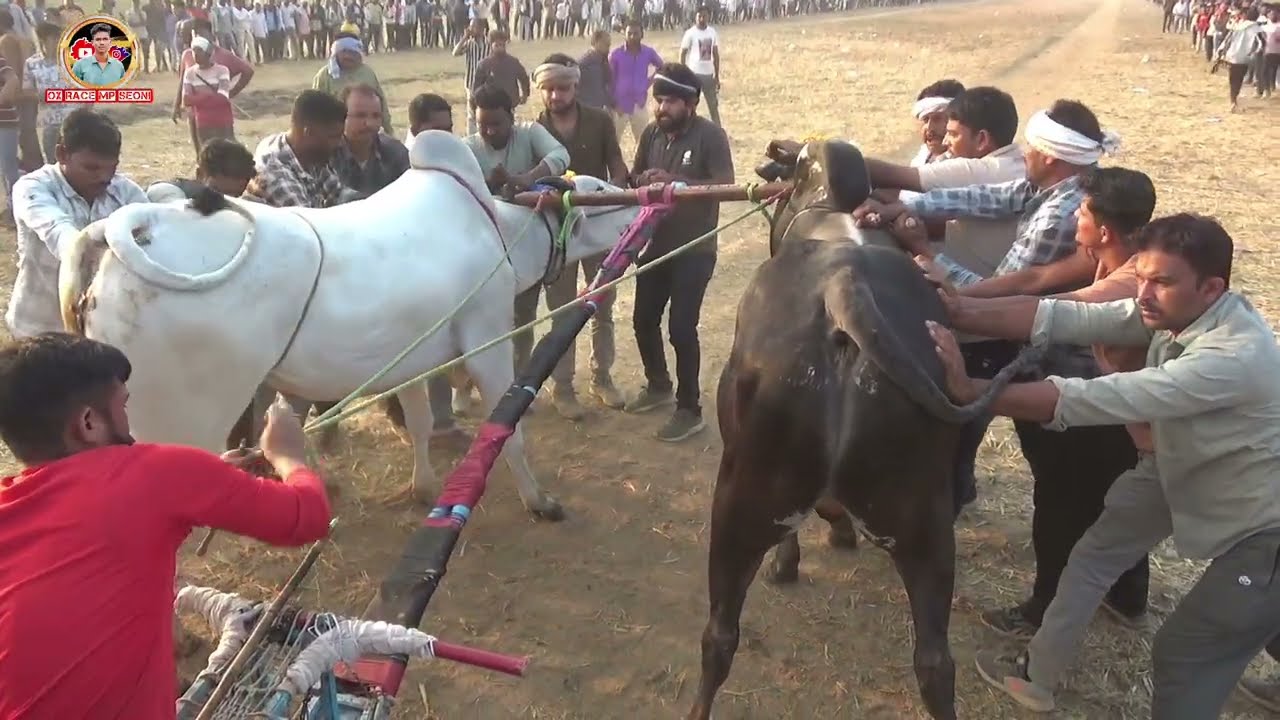51000 पहला इनाम नेवरगांव नंगाटोला पट फाइनल हिंद केसरी डुंगरिया अजीम पटेल बिहिरिया डुंगरिया चिमटा 26।