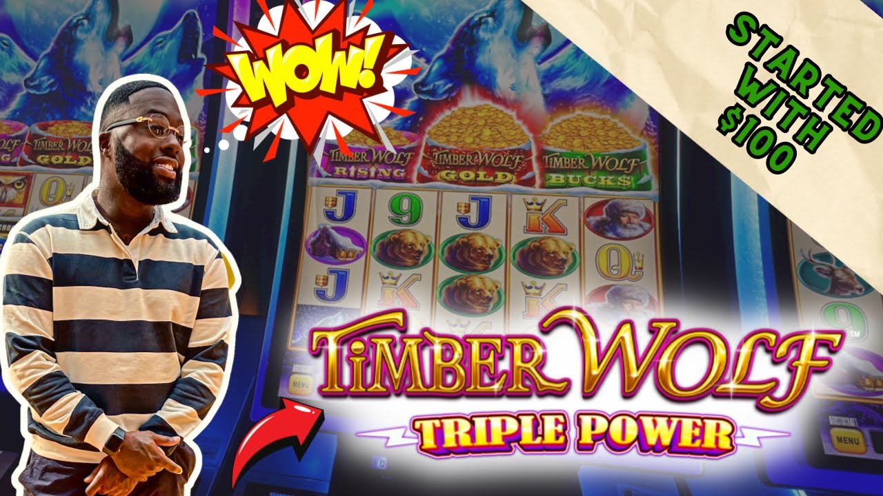 New Timber Wolf Triple Power Slot Machine is AMAZING! 💥 BIG WIN! HUGE PAY!💰