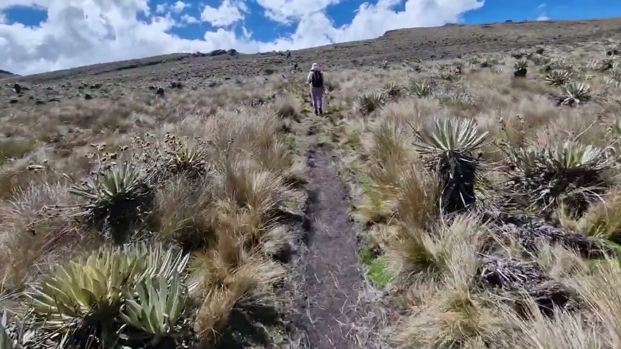 Sumapaz: orgullo ambiental de Latinoamérica