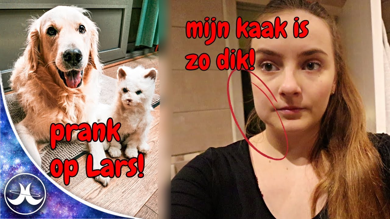 PRANK met FAKE KAT & ONTSTEKING aan m'n kaak #vlog78