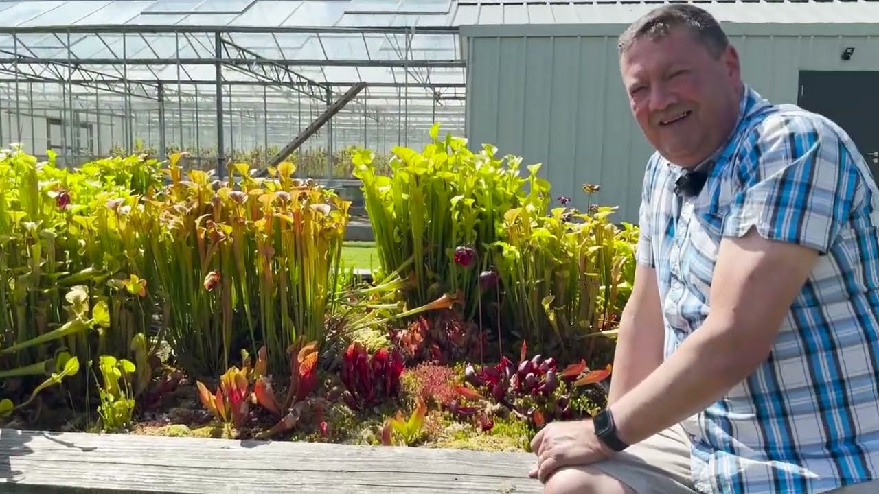 Bog Garden Update - 19/06/24