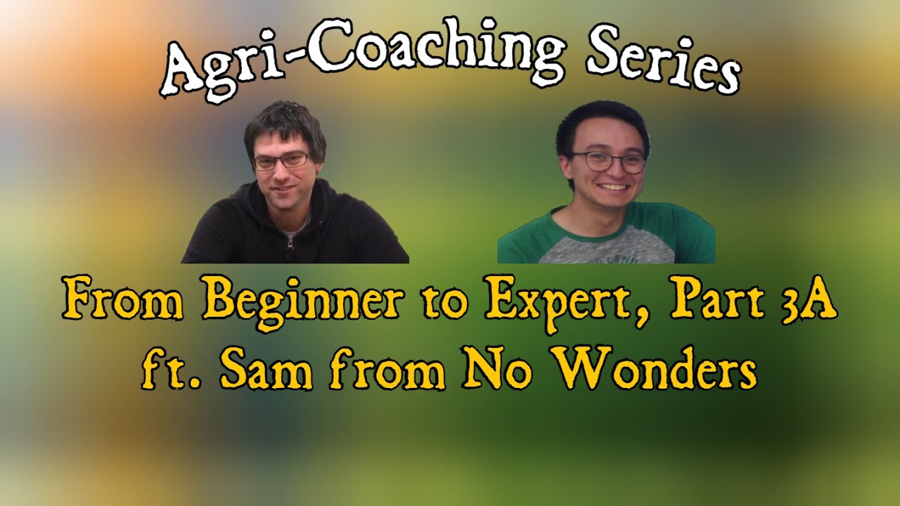 Agricola from Beginner to Expert, Part 3A