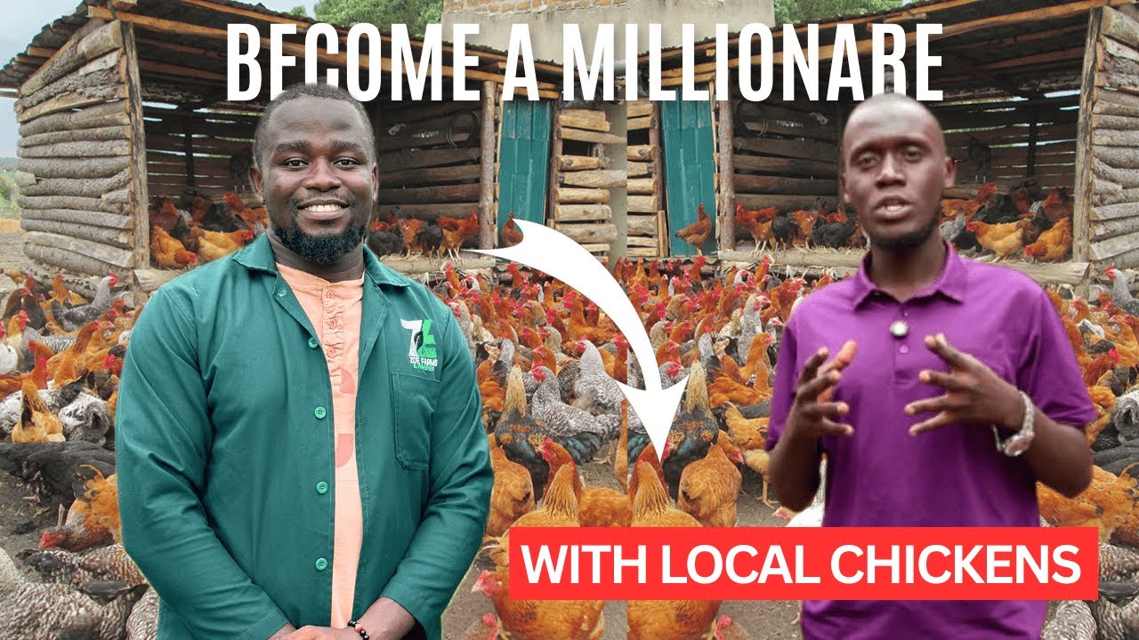 Secrets of LOCAL CHICKEN FARMING in Uganda | From a Small Start to BIG Profits