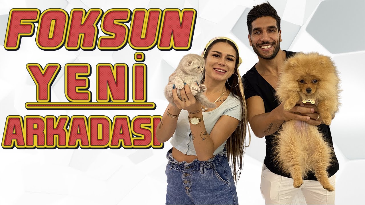 FOKS'A SÜPRİZ YENİ ARKADAŞ