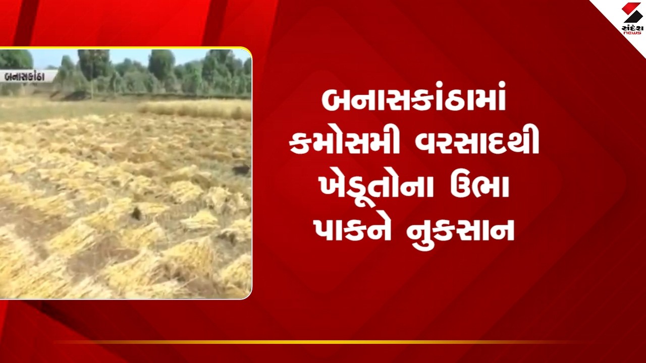 Banskantha | બનાસકાંઠામાં કમોસમી વરસાદથી ખેડૂતોના ઉભા પાકને નુકસાન | Unseasonal Rain | Gujarat